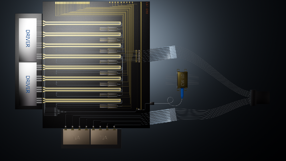 8*200G DR8 Silicon Photonic Chip(1.6T-DR8)